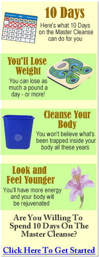 lemonade diet